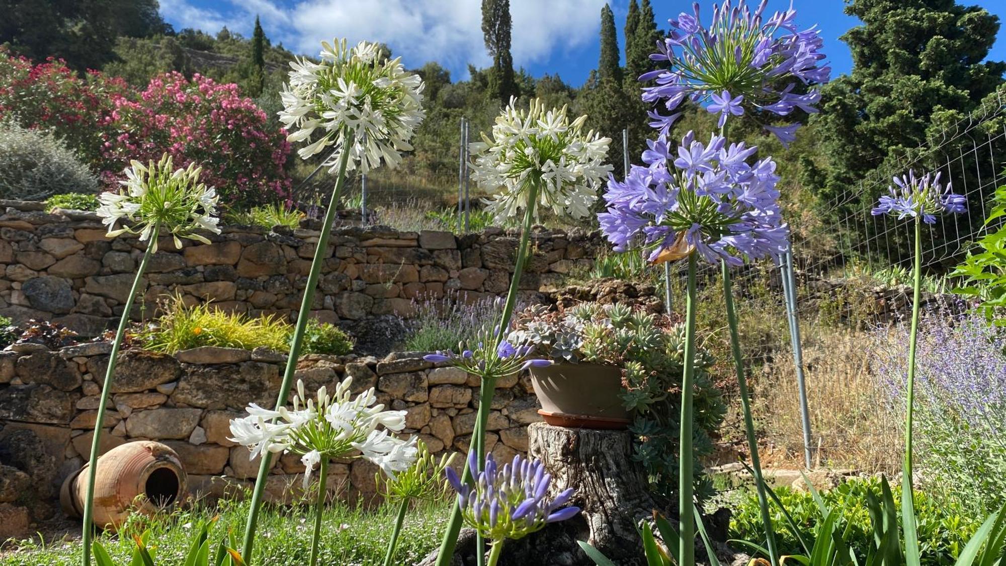 Apartamentos Casa Lola Rodeados De Montanas Y Rios Бесейте Екстериор снимка